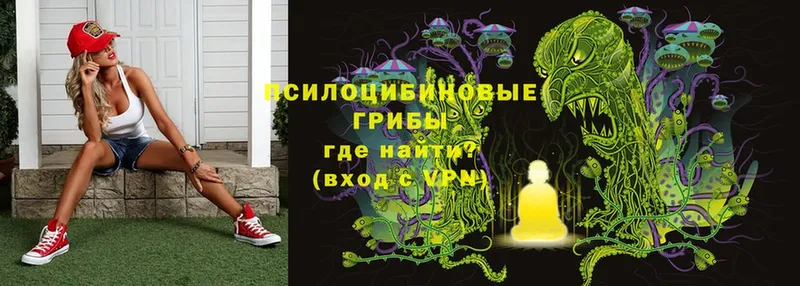 Галлюциногенные грибы Magic Shrooms  Дубна 